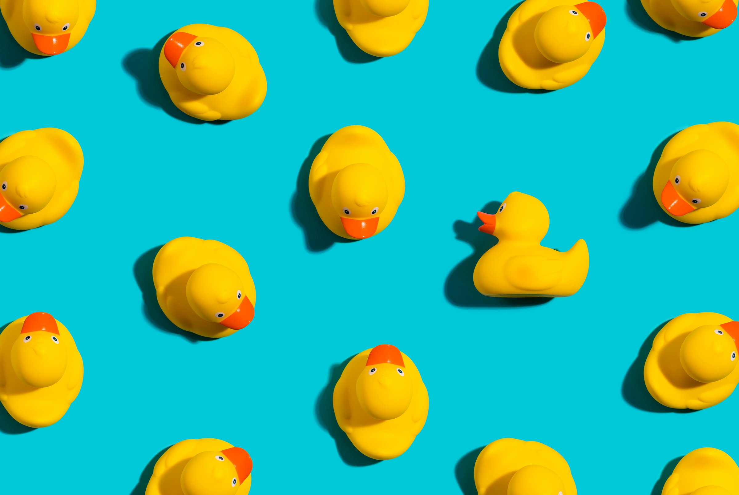 One out unique rubber duck concept